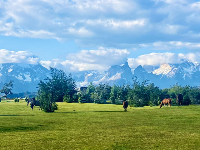 Wildlife Watcher’s Paradise