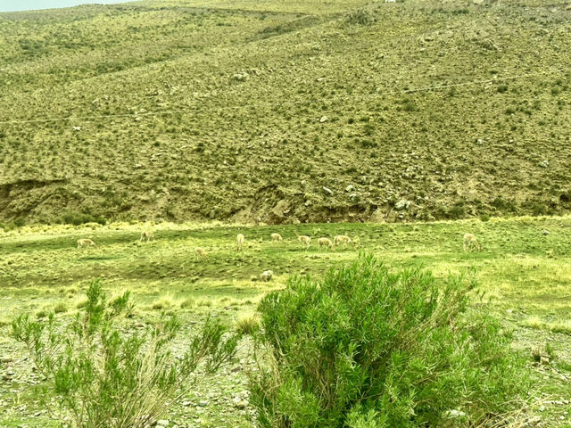 The Salta City Trek & Culture Day