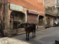Jaipur one day itinerary 