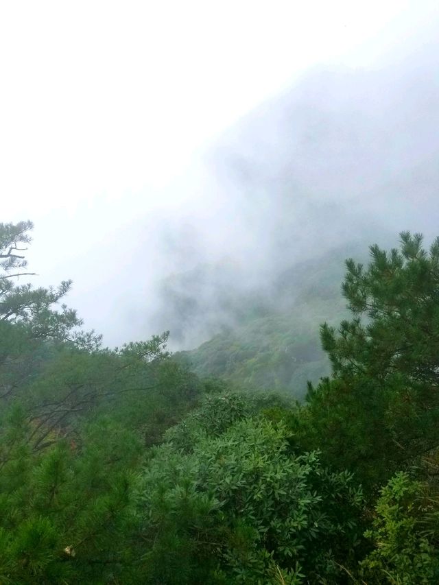 Wugongshan: Sea of Clouds & Alpine Dreams🏔🏞