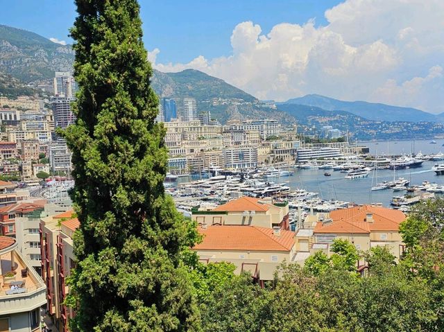 Monaco Adventure
