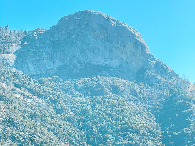 California Dreamin’: 7 Days, 5 National Parks