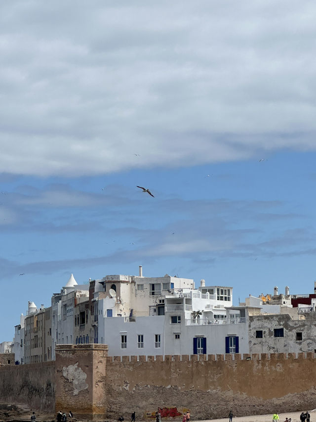 Essaouira in Morocco is a real paradise for seafoodlover