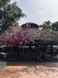 Here I felt myself as Thumbelina 🌿 Bình Quới Tourist Village