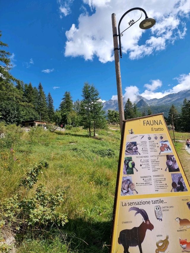 🏔️ Lago di Ceresole – Alpine Serenity in the Heart of Piedmont