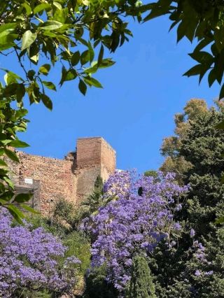 🏰 Alcazaba of Málaga: A Moorish Dream in Stone ⛲