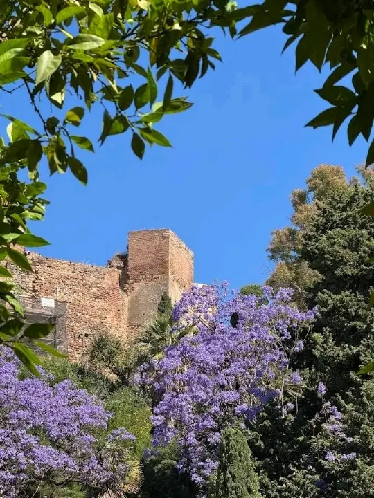 🏰 Alcazaba of Málaga: A Moorish Dream in Stone ⛲