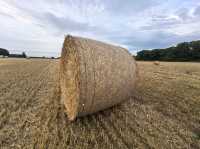 Summer holiday in Wingham, UK