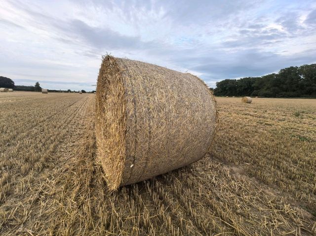 Summer holiday in Wingham, UK