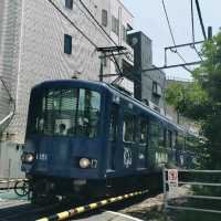 Tokyo Like a Local: Beyond the Tourist Trail