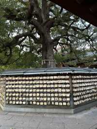 Tokyo and Kyoto: where pop culture, street food, and peaceful shrines collide