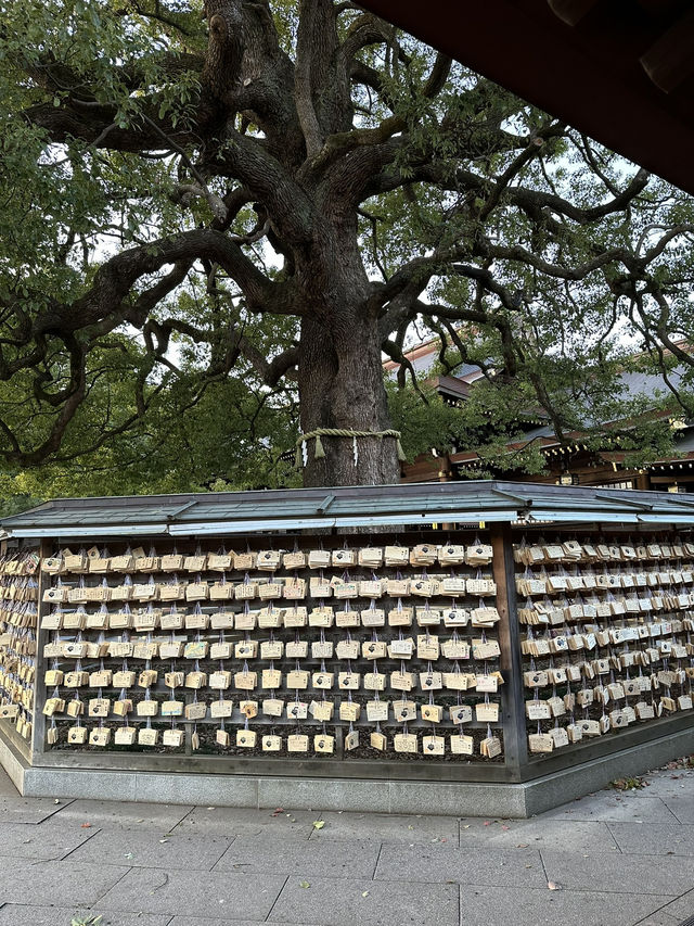 Tokyo and Kyoto: where pop culture, street food, and peaceful shrines collide
