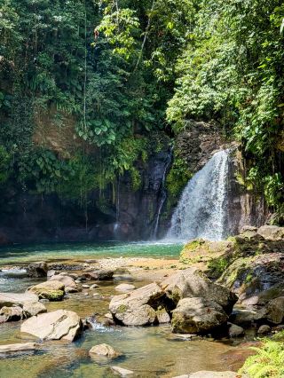 หนึ่งสัปดาห์บนเกาะแห่งน้ำอันงดงาม กัวเดอลูป 🇬🇵 F.W.I.
