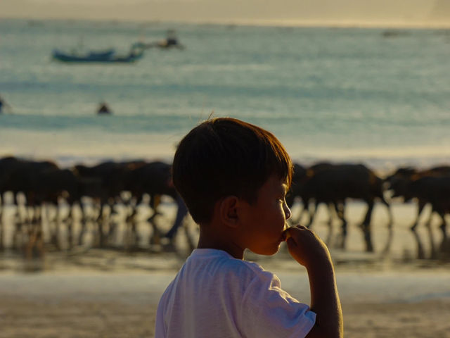 Sunrise Wonders🌞 Sunrise Wonders🌞