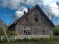 Russia Trip: Zelenogradsk IsThe Resort of Cats and Seaside Charm