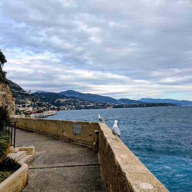 Monaco Magic on a Budget: Luxury for Less 🇲🇨