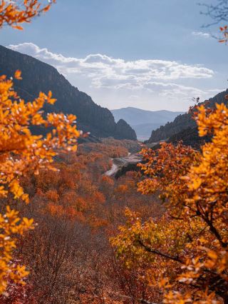 Iran’s beauty also lives in its silence.