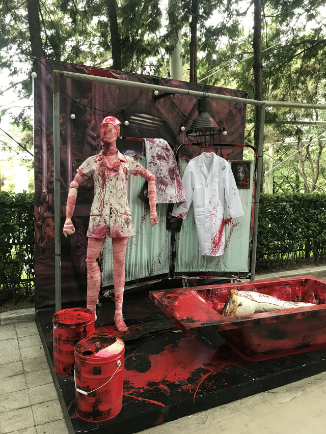 EWorld Tower Fun🎡 EWorld Tower Fun🎡