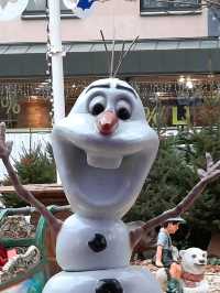 Winter Market Magic🎄