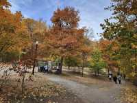Mount Royal Park Parc du Mont-Royal