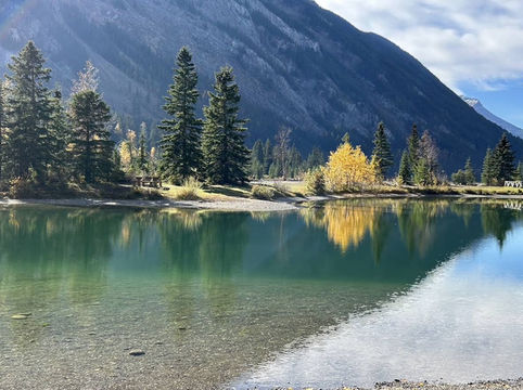🍁 Yoho National Park – Autumn Forest Trails 🌲🍂