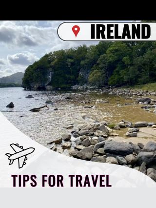 Forest Tranquility🌳