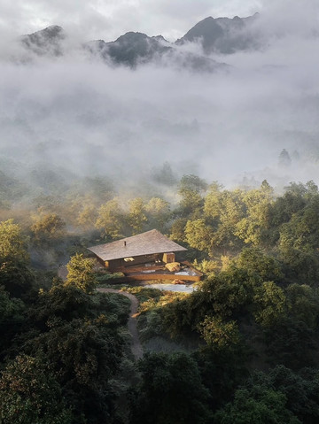 日本・屋久島。 | Trip.com 屋久島町