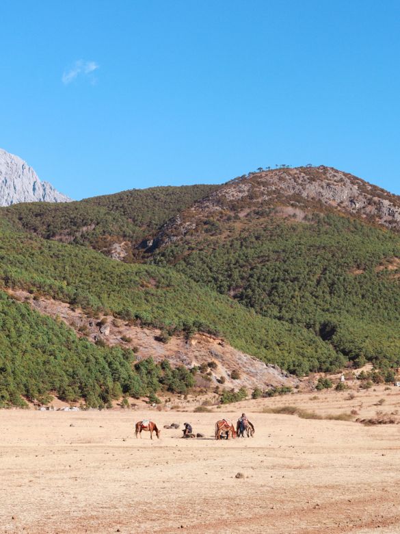 Grasslands near Lijiang, Yunnan🌿🍃