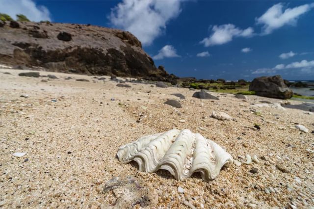 Indonesia Mandalika | Between land and sea, gentle embrace