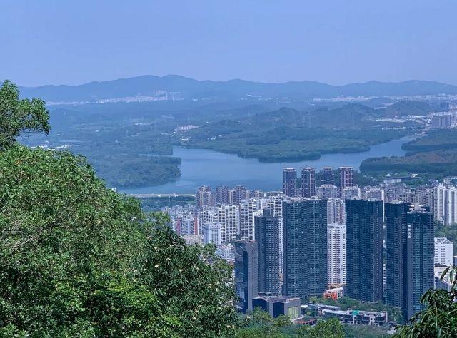 Shenzhen Hiking | It's no less than Hong Kong's MacLehose Trail!
