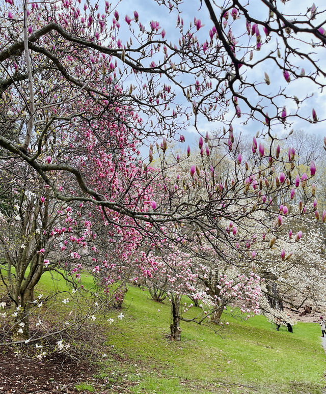 Early spring at the Royal Botanical Gardens in Canada.