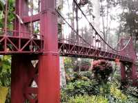  A Park You Shouldn't Miss In Baguio🇵🇭