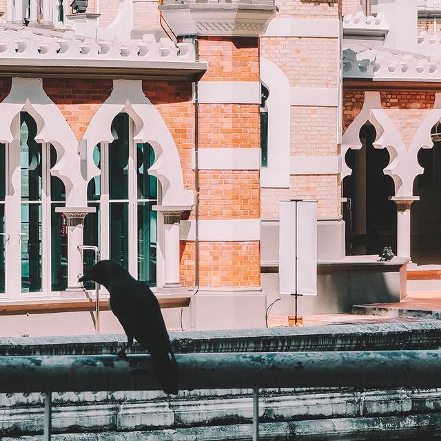 遊吉隆坡🇲🇾 占美回教堂