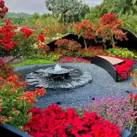 ✨深圳~蓮花山公園🌺✨