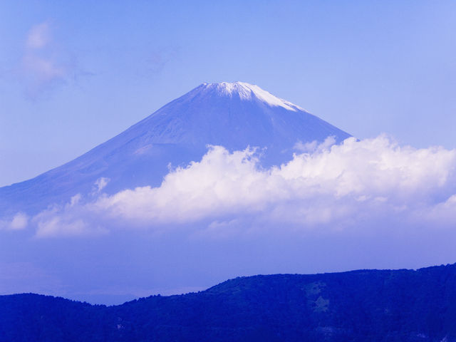 箱根の秘境：自然に包まれる究極の旅ガイド！ 🌳🏞