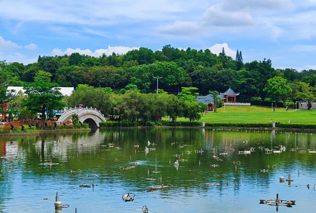 中山城區免費露營地紫馬嶺公園