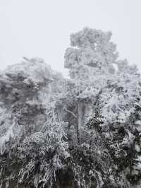 湖南郴州｜廣州2h可以看雪景的地方