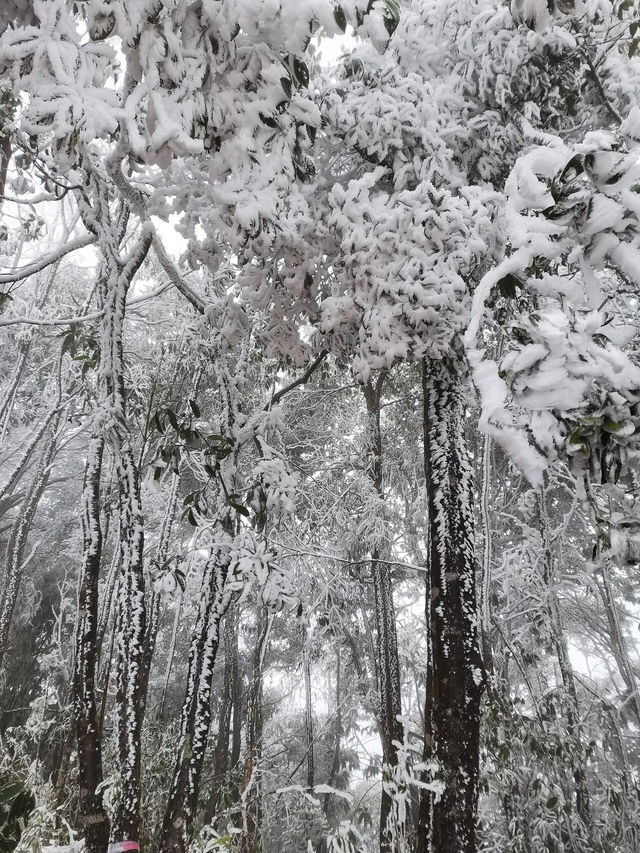 湖南郴州｜廣州2h可以看雪景的地方