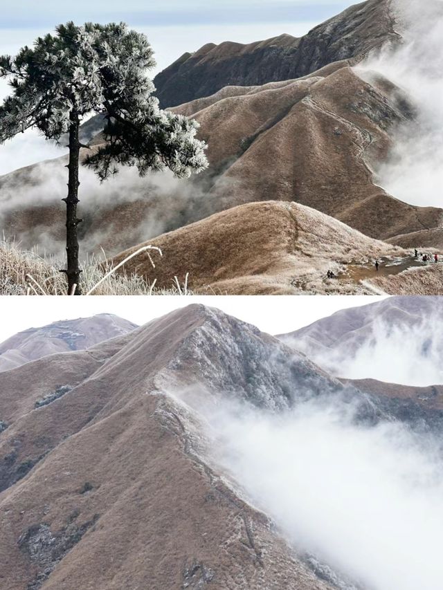 雲海日出|福建人有自己的武功山