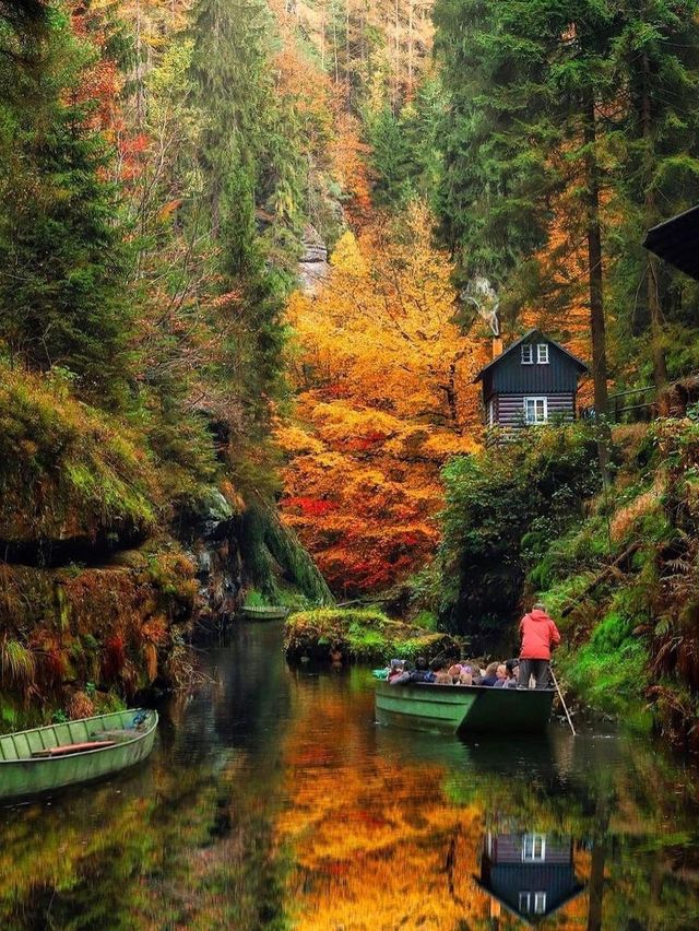 Autumn's Palette: A Vivid Journey Through Europe's Fall Splendor! 🍂🌍✨