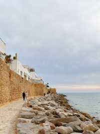 突尼斯的地中海海濱城市——哈馬馬特