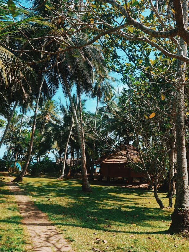 Yala National Park, Sri Lanka🇱🇰🐆