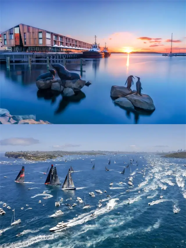 Tasmania Travel | City walk in a romantic town