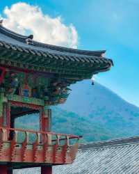겨울여행지 고민이라면 #밀양 어때요🧣