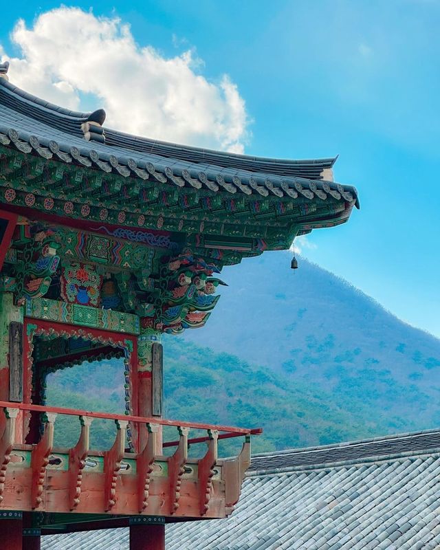 겨울여행지 고민이라면 #밀양 어때요🧣