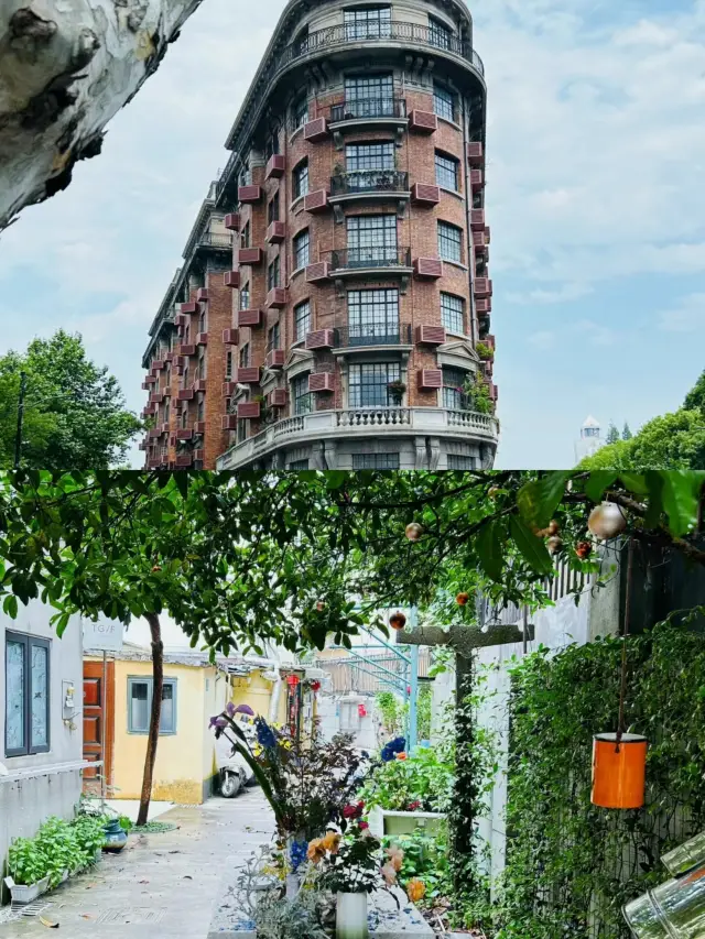 Open the popular road in Shanghai - Wukang Road