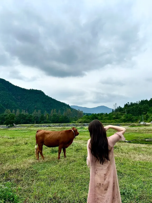 Jiangxi Travel Guide: Recommendations and Warnings
