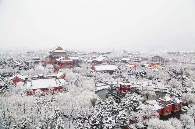 一下雪，西安樓觀就美成了仙都