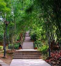 福州·屏山公園——來福州必須要打卡的古韻公園