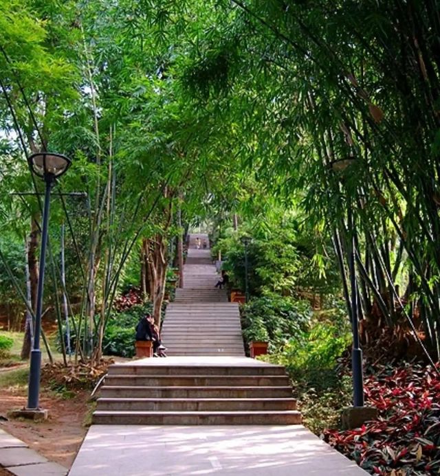 福州·屏山公園——來福州必須要打卡的古韻公園